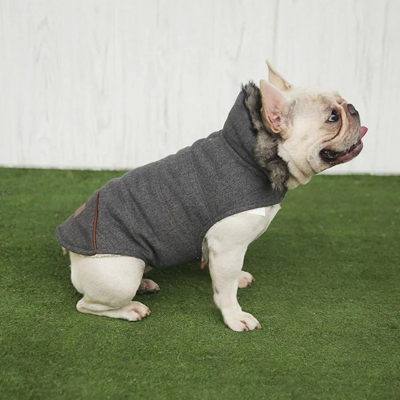 Vêtements pour chiens épaississement de coton en coton mouchard chaud de capuche chaude pour chiot chapeau moelleux veste en veste petits accessoires moyens