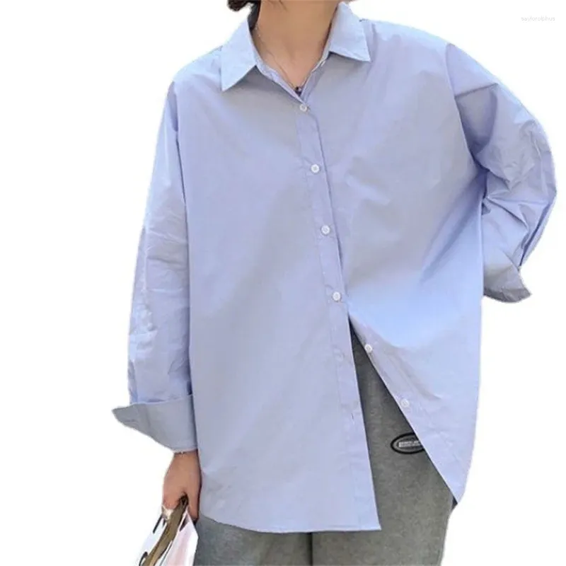 Bluzki damskie 2023 Preppy Style Kobiety Prosta koszula Koreańska moda luźna bluzka jesień długi rękaw Wszystkie dopasowanie Białe niebieskie topy Zy8673
