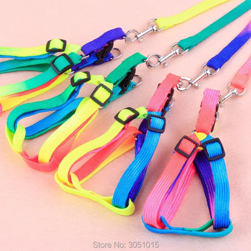 Dog Collars Leashes 20pcs Durable Colorful Rainbow Pet Dog Collar Chest strap Harness Leash Soft Walking Harness Lead Colorful Nylon Traction Rope 231124