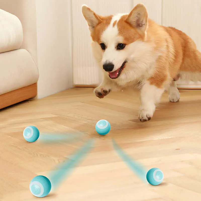 Interactive Electric Ball Toy For Dogs And Cats Auto-rolling_voghion.com