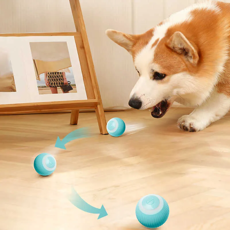 Luxury Shipping New Smart Auto-Rolling Electric Dog & Cat Ball Toy For Interactive I Free_voghion.com