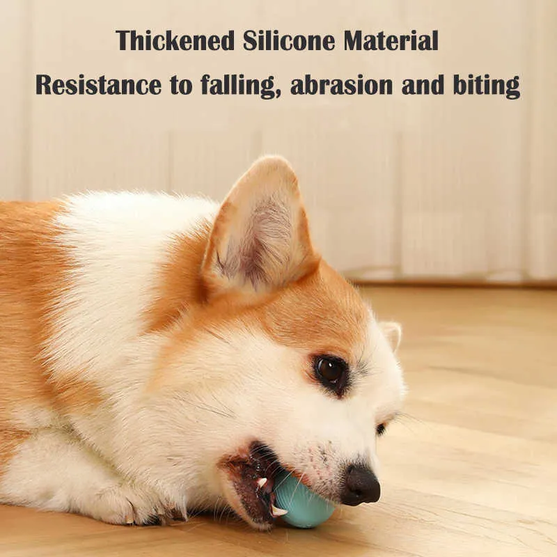 Interactive Electric Ball Toy For Dogs And Cats Auto-rolling_voghion.com