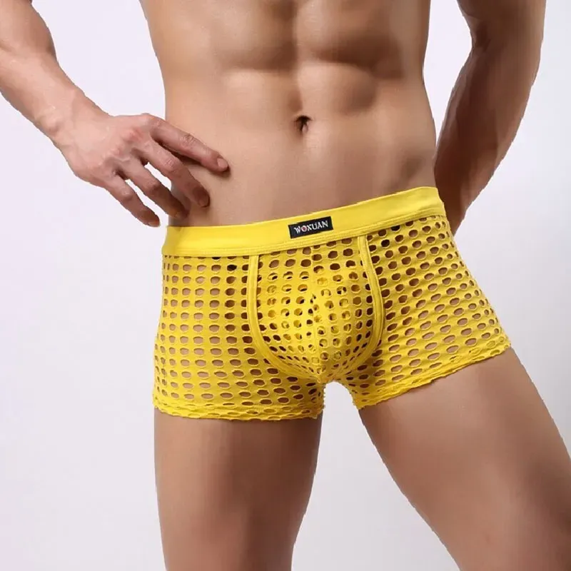 underwear men Fashion boxers shorts Man cute mesh boxer Boy's sexy panties gay male short mens under wear fishnet BJ