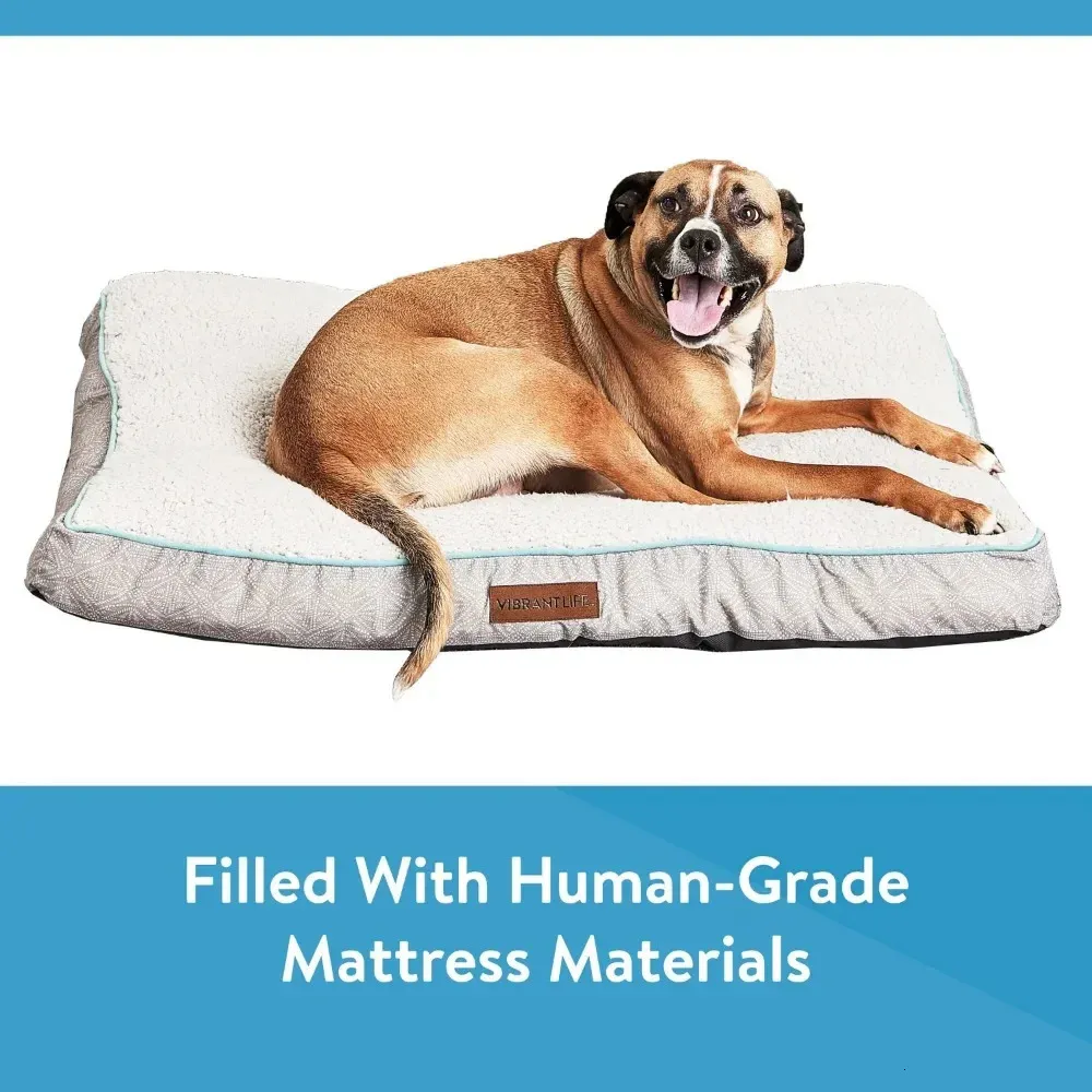 Orthopedic Dog Vibrant Life Dog Bed Pet Bed Vibrant Life