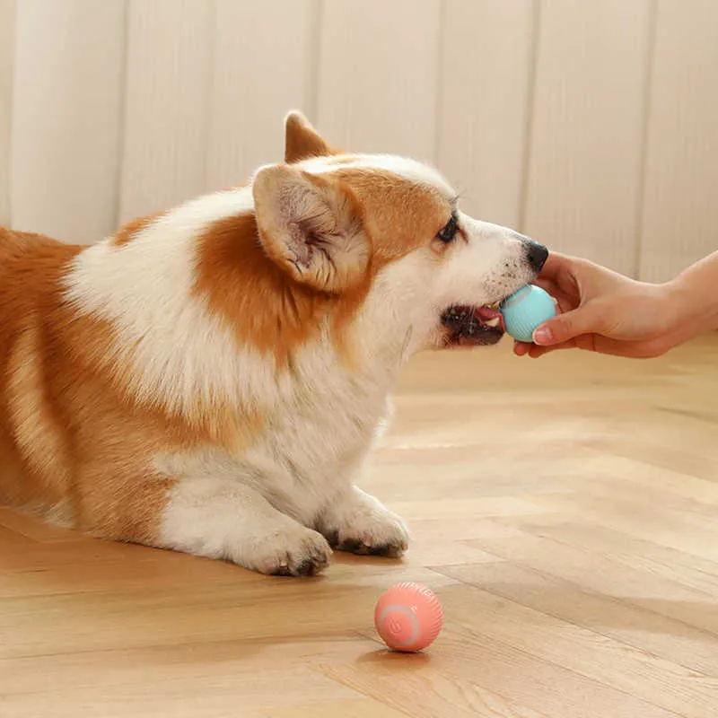 Interactive Electric Ball Toy For Dogs And Cats Auto-rolling_voghion.com