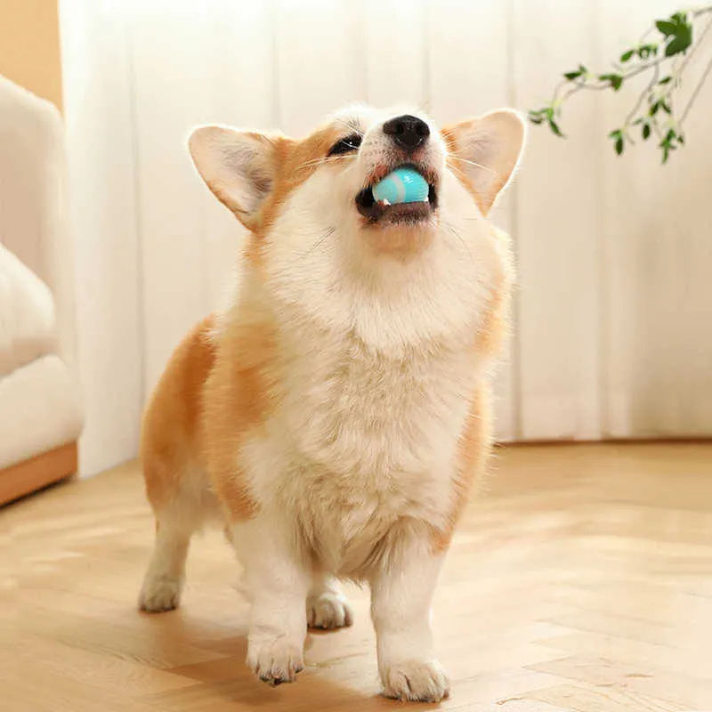 Interactive Electric Ball Toy For Dogs And Cats Auto-rolling_voghion.com