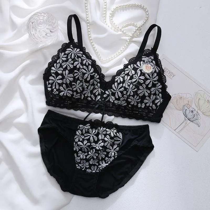 High Quality Lace Embroidered Romantic Bra Panty Set For Women Plus Size  Push Up Underwear And Panty In AB Cup Style 32 38 From Abutilon, $13.83