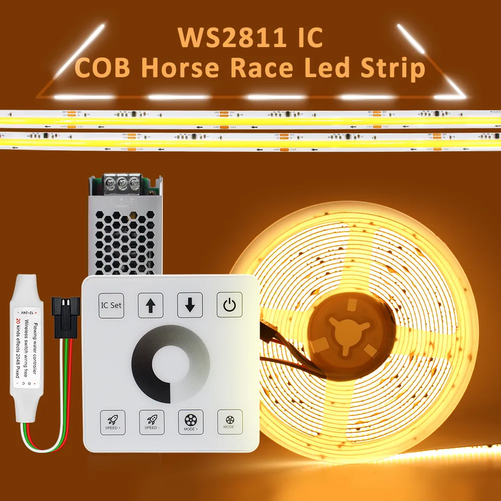 COB 러닝 워터 흐름 LED 스트립 조명 WS2811 24V 경마장 순차 LED 리본 RF 터치 패널 컨트롤러 10m 20m 세트