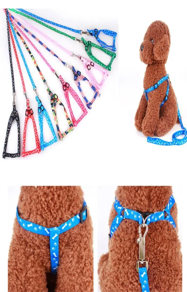 2020 Nouveau 10120cm Harnais pour chien Laisses en nylon imprimé Collier de chien réglable pour animaux de compagnie Chiot Chat Animaux Accessoires Collier pour animaux de compagnie Corde Tie1973021