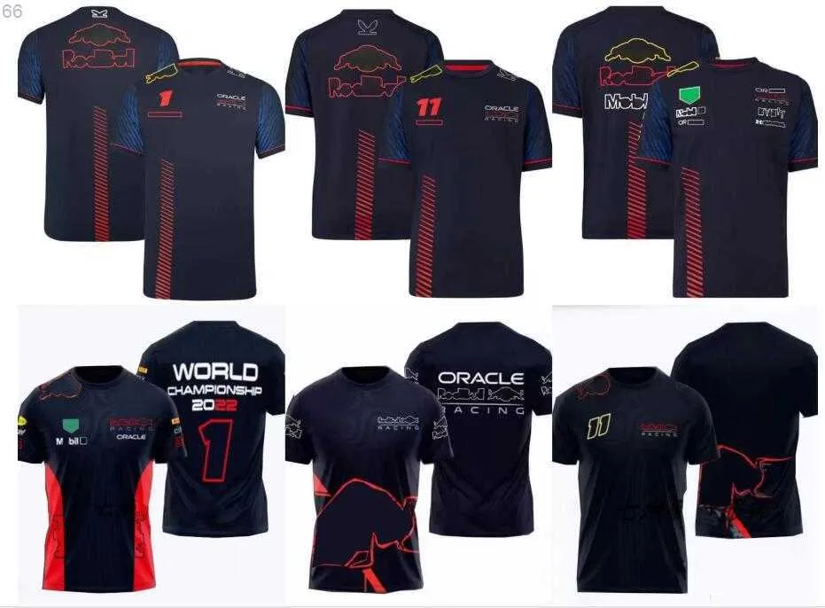 2023 Racing Men's F1 T-shirts T-shirt Summer New Team Polo Shirt samma stil Customiz