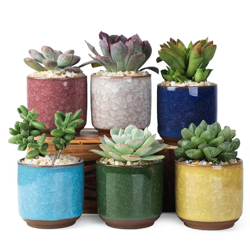 Ice Cracked Ceramic Flower Pot Colorful Cute Flowerpot For Desktop Decoration Meaty Potted Plants Mini Planters