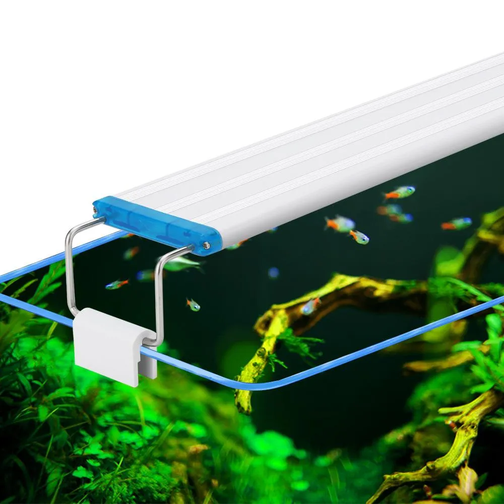 Aydınlatma Ultratin Akvaryum Lambası Mavi ve Beyaz Su Çim Peyzaj Akvaryum Braket LED lamba akvaryum su bitkisi için uygundur