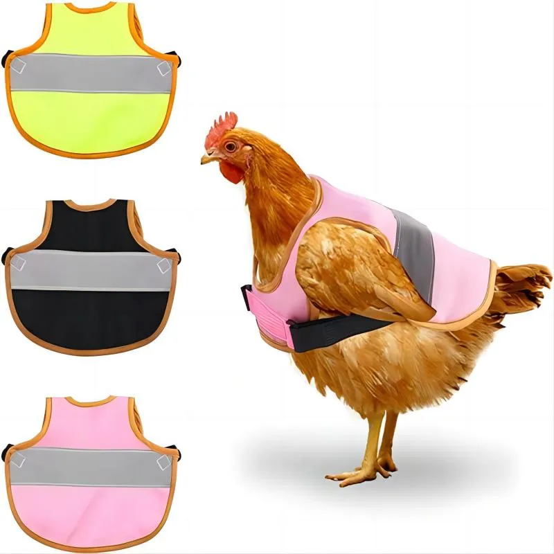 YUEXUAN Gilet de poulet de créateur vêtements pour animaux de compagnie gilet réfléchissant pour animaux de compagnie, tablier de selle de poule de poulet réglable support de protection gilet de sécurité pour chien pour poulet et canard, 6 couleurs