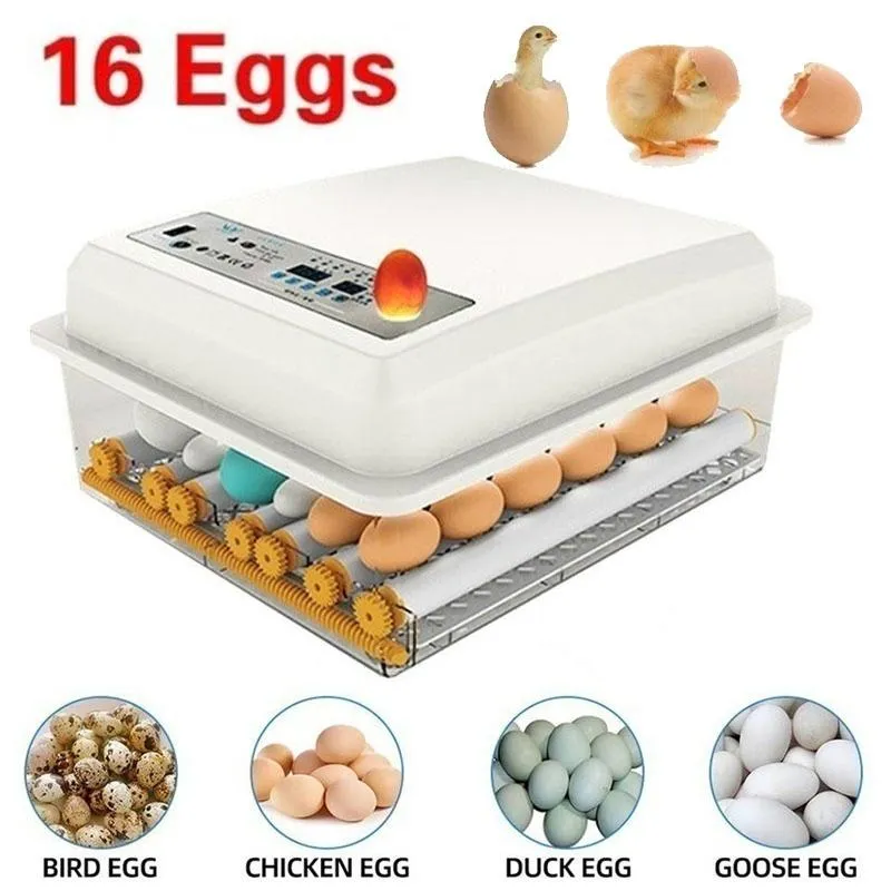 Produkty Brooder Hatchery Egg Inkubator Automatyczne inkubatory z Turner for Farm Hatching Goose Quail Jajka Jajka Jajka