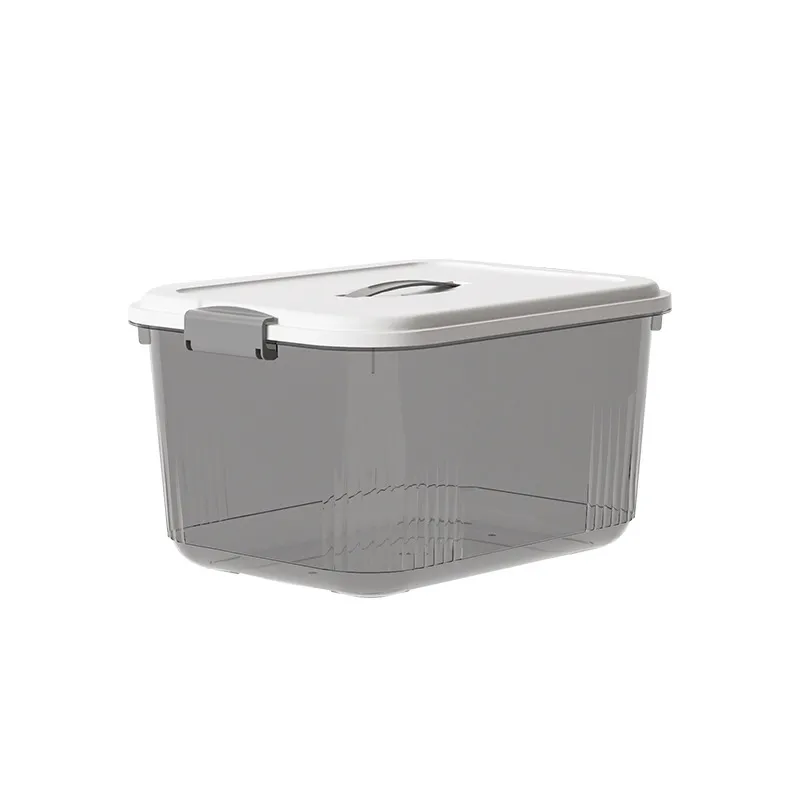 Portable Transparent Plastic Storage Box With Lid For Home Furniture And  Clothing Refrigerator Organization From Tongxin8888, $57.54