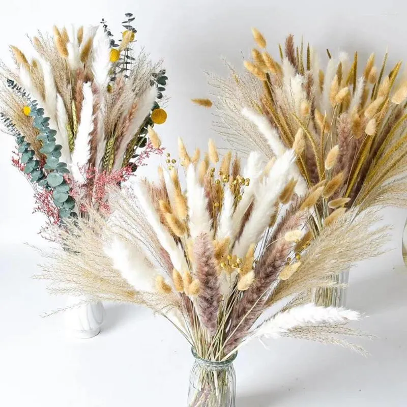 Fleurs décoratives 100pcs roseau pampa épis de blé queue herbe bouquet séché naturel décoration de mariage pour la fête bohème décor à la maison