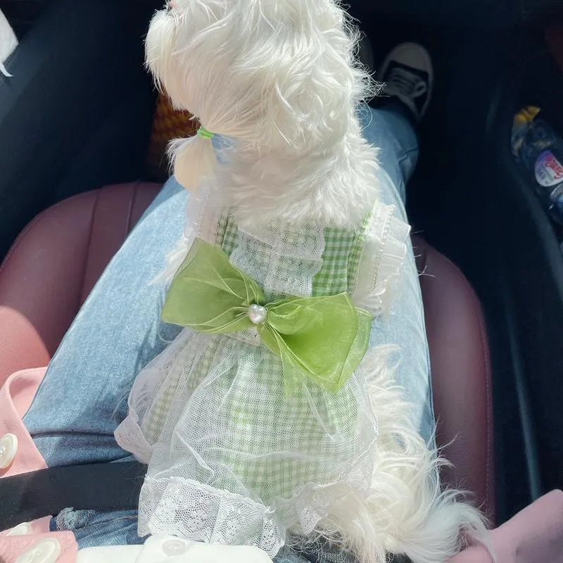 Abiti Abito per cani Cat Maid Gonna con fiocco in pizzo Abiti da principessa per matrimoni Teddy Bichon Yorkshire Terrier Barboncino maltese Abbigliamento estivo per cani