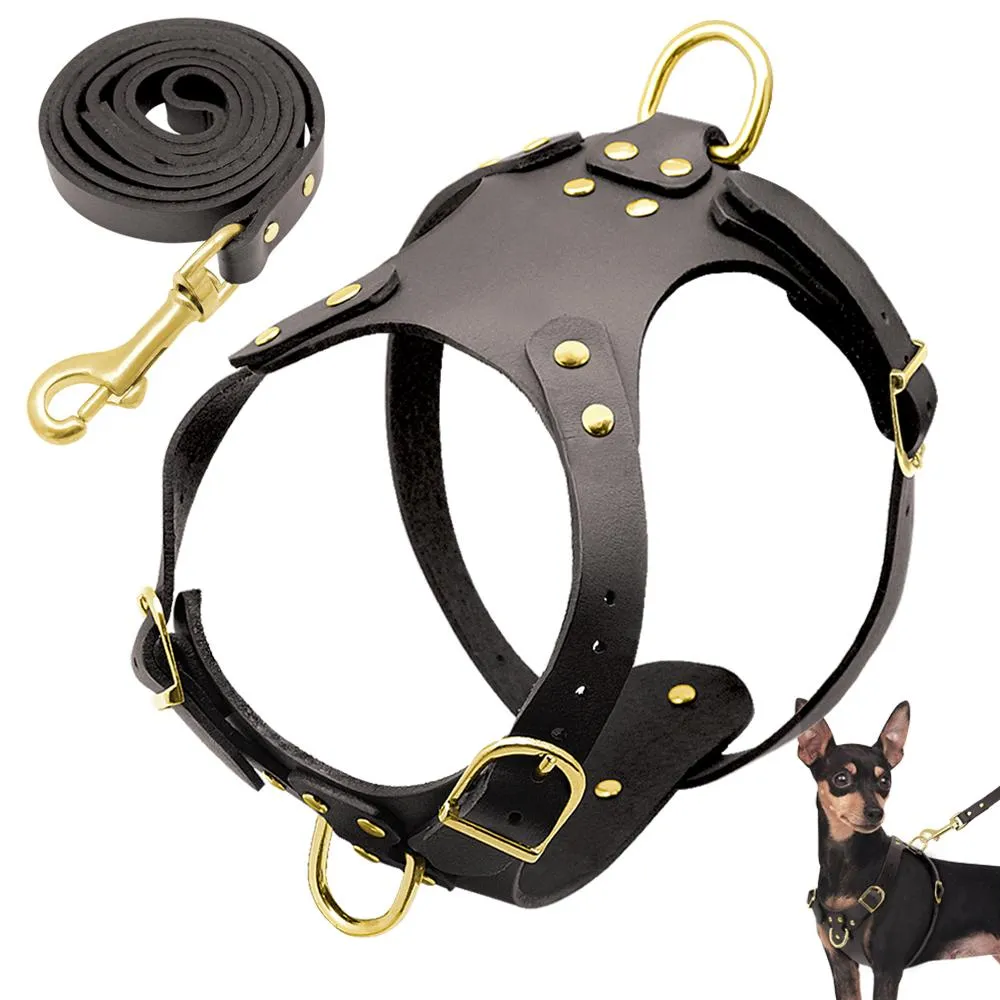 Ensembles de harnais et de laisse pour chien en cuir véritable marron, harnais pour animaux de compagnie, sans traction pour petits et moyens chiens, carlin Chihuahua