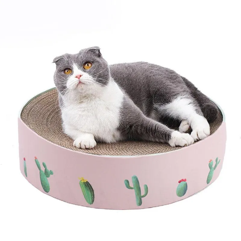 Scratsers oluklu kedi tahtası kediler için pençeler mobilya mobilyaları çizikler hayvanlar için mallar kedi oyuncakları tırnak üreticisi yatak yavru kaktüsler