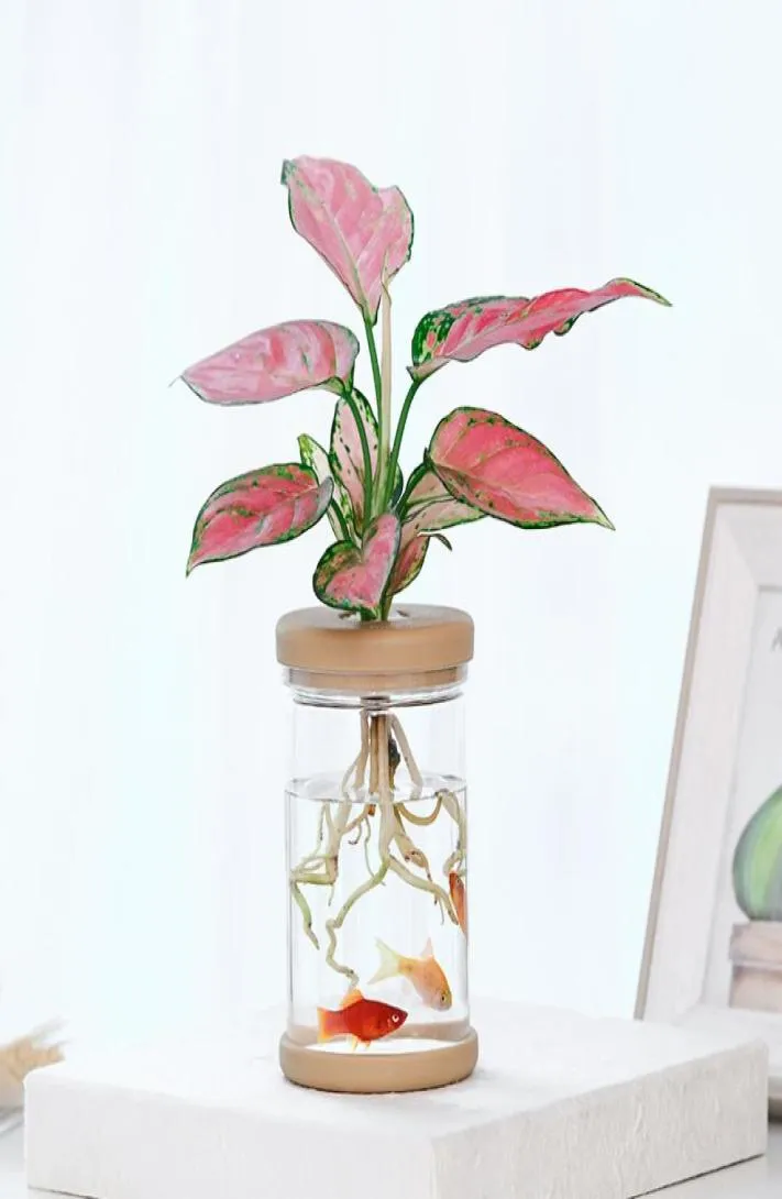 Transparent hydroponisk vasimitation Glas Sjustlös Plantering Krukutgrön växtharts Flower Pot Home Vase Decor7044794