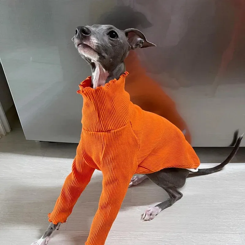 Hondenkleding Pure Color tweebenige kleding Greyhound Whippet jas Stretch comfortabele pyjama 231127