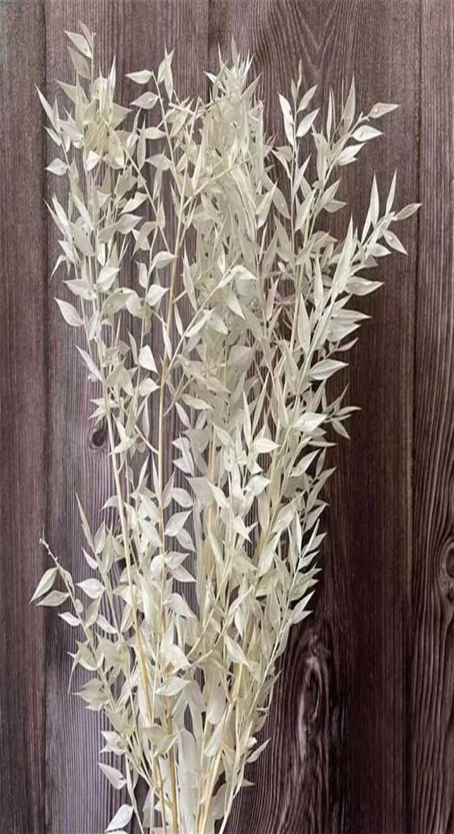 Circa 35 g 3045CM Fiori secchi decorativi Conservati Foglie di Ruscus Bouquet Bambù fortunato Decorazione floreale fai da te per la casa Matrimonio 216135320