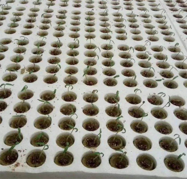 Горшки для цветов, 20 шт., цилиндры из минеральной ваты, гидропоника для выращивания растений, беспочвенная компрессионная основа для выращивания для сада, теплицы5662285