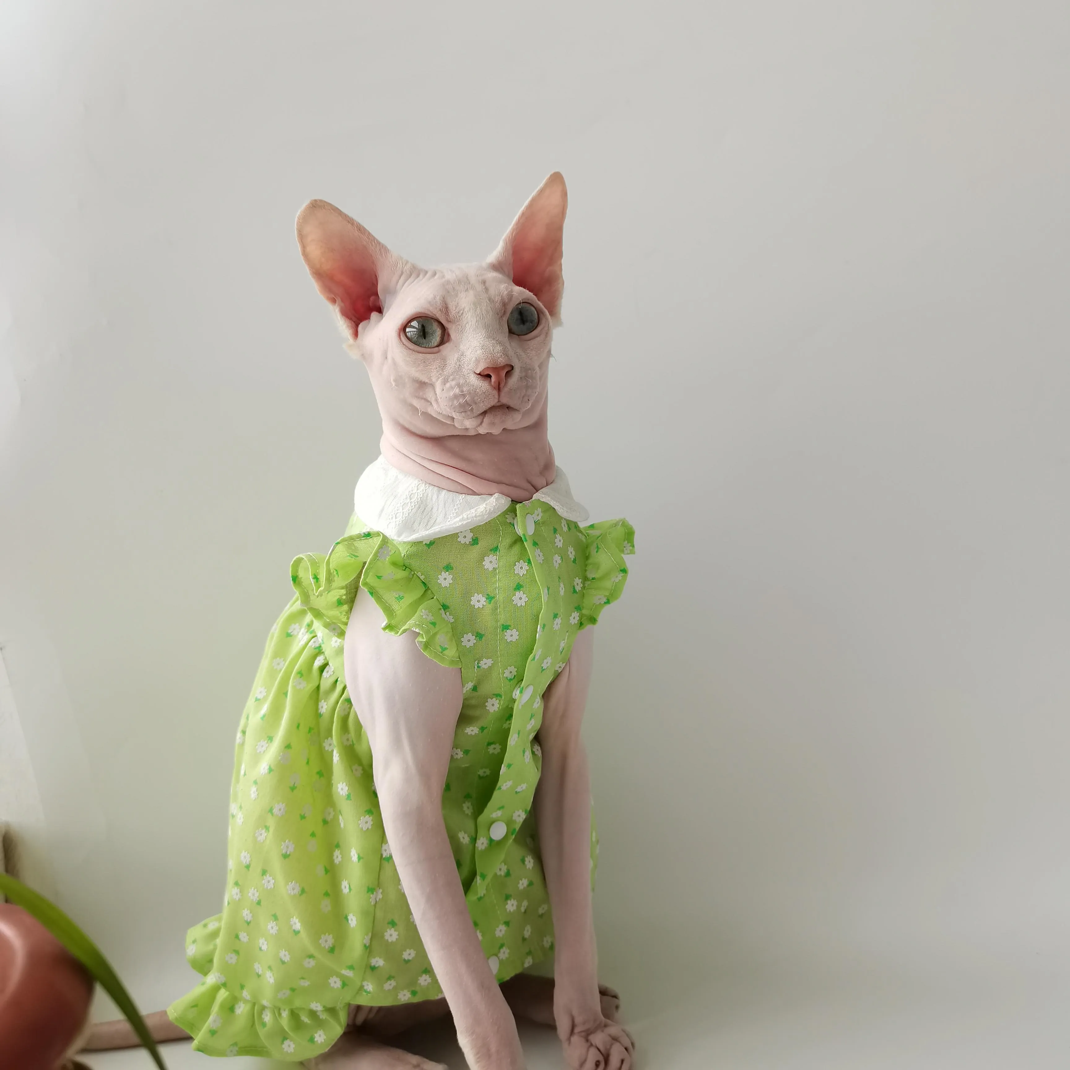 Одежда Сфинкс, безволосый кот, немецкая летняя тонкая кукла, платье с цветочным воротником, дышащая милая ткань