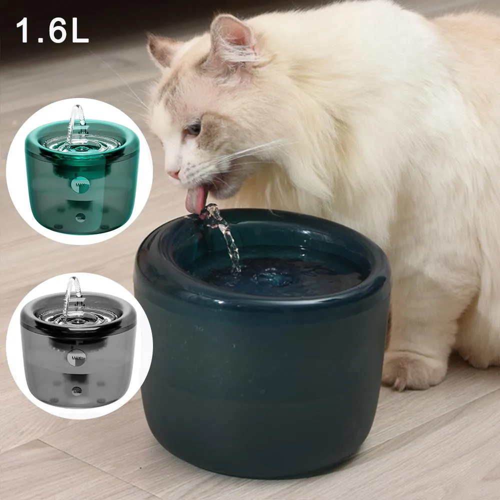 Supplies Automatischer Katzenwasserbrunnenfilter für den Innenbereich, leise, transparent, elektrischer Wasserspender, Trinker für Katzen, Trinkbrunnenschale