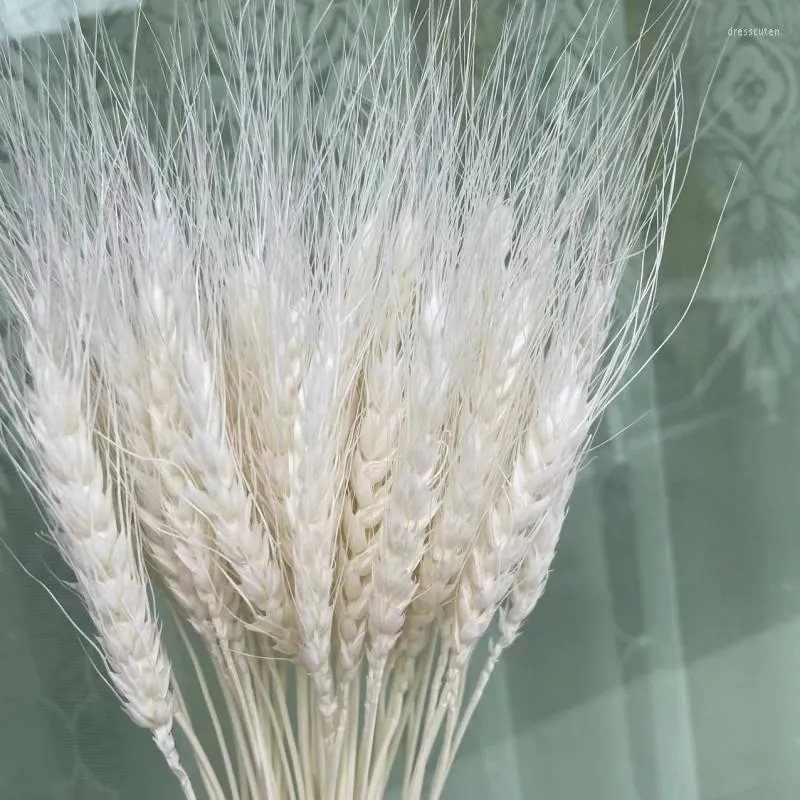 Decorative Flowers 50Pcs Bunch Wheat Ears Barley Dried Flower Bouquet DIY Wedding Party Decoration Eid Mubarak 2023 Bridal