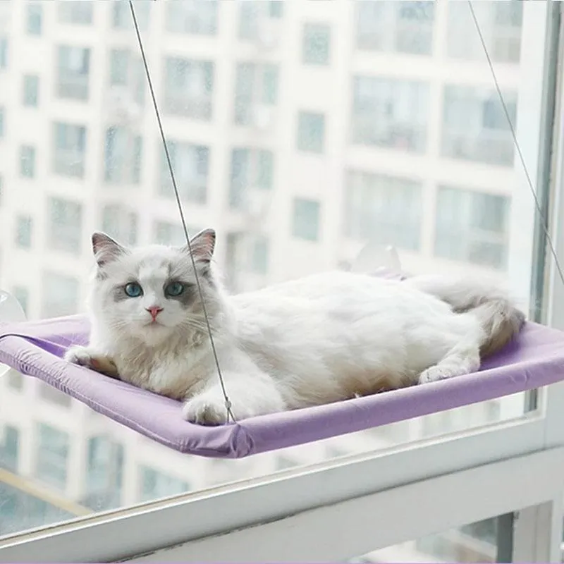 Mats Cats Window Perch Cat Hammock Cat Bed Bearing 20kg Window Mounted Hommock Pet Suction Hanging Sill Sleeping Shelf Bag Beds Seat