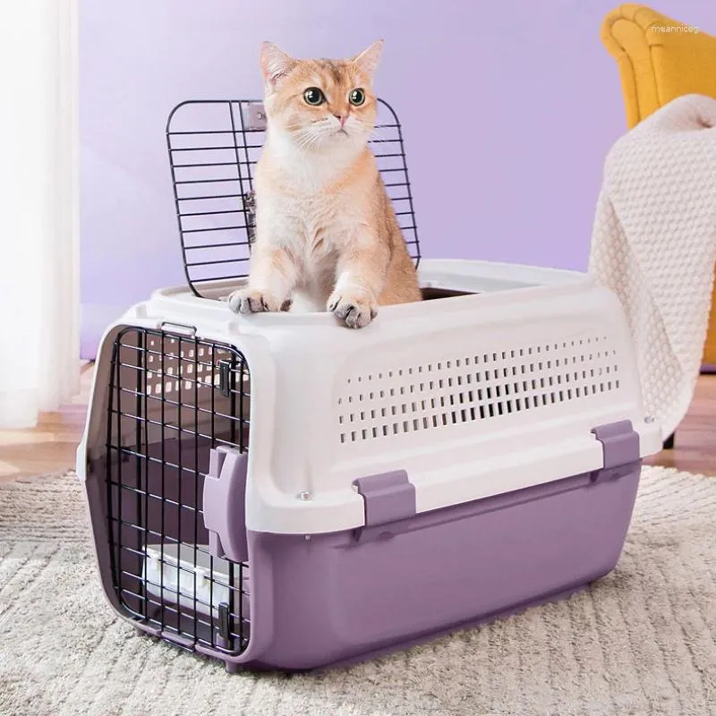 Pet voyageur 100 hot sale