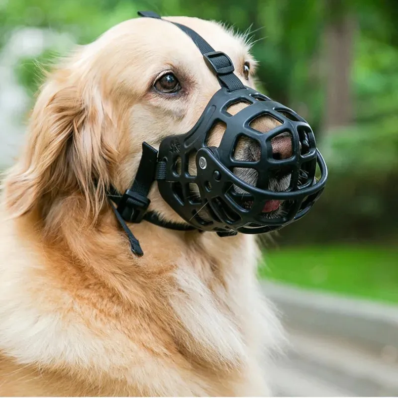 Museau Pour Chien Moyen/grand - Réglable, En PVC Et Mousse, Confortable Et Sécurisé, Pour Promenades