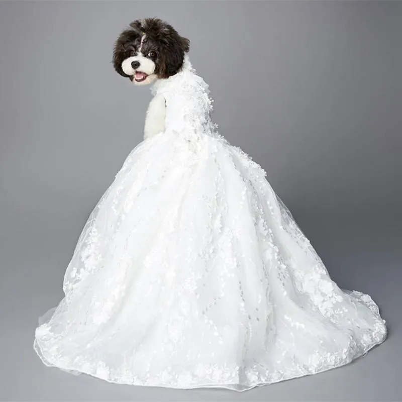 Kläder hundklänning handgjorda 2021 spetsar klänningar highend grön påfågel släpande prinsessa bröllopsklänningar hundar kjol fotografi lång kjol