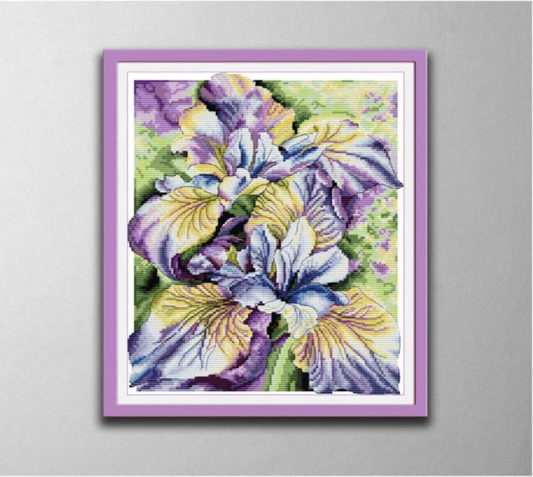 Aquarel iris bloem Handgemaakte Kruissteek Hobbygereedschappen Borduren Handwerken sets geteld print op canvas DMC 14CT 11CT Thuis dec4890936