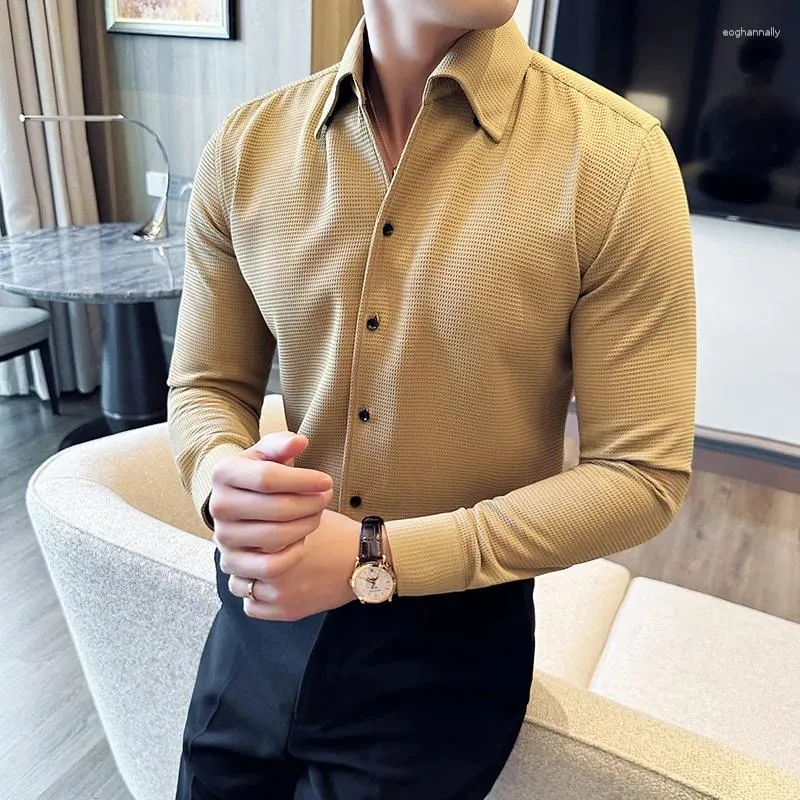 Men's Casual Shirts High Quality Waffle Lattice Long Sleeve For Men Korean Luxury Clothing Slim Fit Formal Blouses Tuxedo 4XL