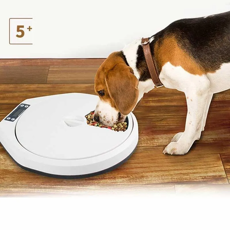 Automatische voerautomaat voor honden Dispensador De Comida De Perro Gato R Portiecontrole Digitale timer Afneembare recorder Droog natvoer