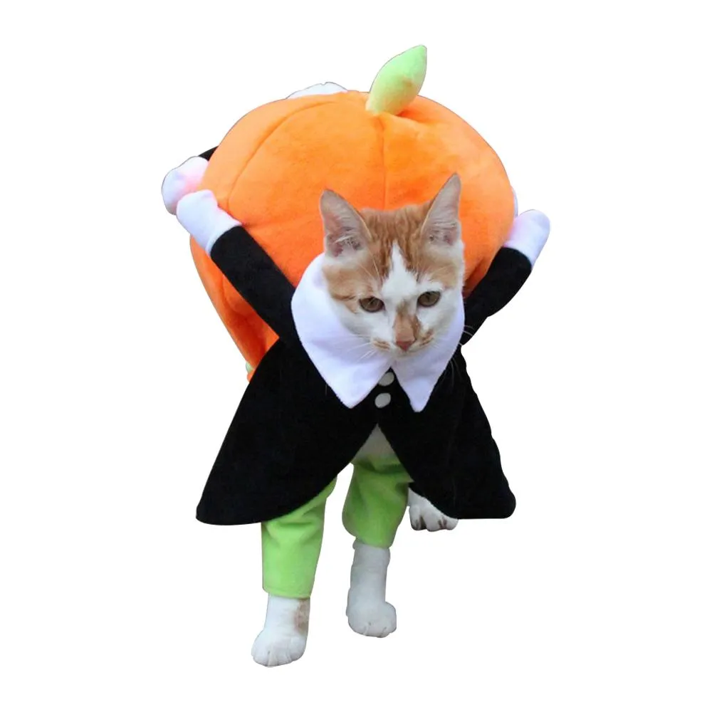 Vêtements d'halloween pour chiens, Costume de citrouille amusant pour animaux de compagnie, Cosplay, événements spéciaux, tenue pour chiens, Costumes mignons