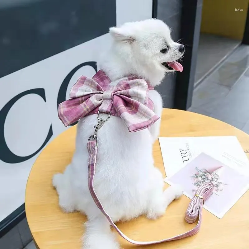 Cão vestuário roupas para animais de estimação cinto de tração colete tiras de peito puxar na corda bowknot primavera verão pequeno médio tamanho dats cães adorável ao ar livre