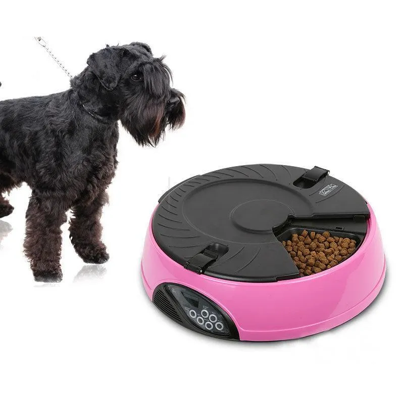 Feeding Automatically quantify 6 Meal Smart Automatic Pet Feeder LCD Display Dog Cat Food Dispenser Timed Recorder Bowl Food Reminder