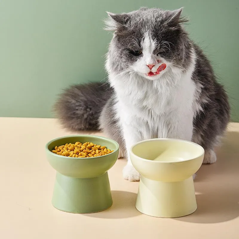 Karmienie małych psów nordycka ceramiczna miska kota podwyższona żywność karmniki wodne napój zwierzaka jeść zapasy szczenięt
