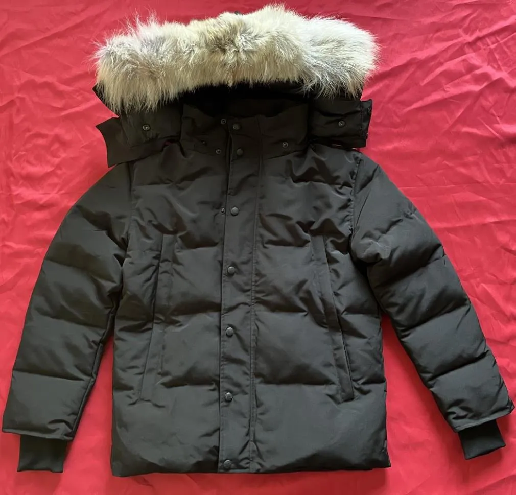 Chaqueta de invierno para hombre, chaqueta acolchada de ganso para hombre, ropa de abrigo para exteriores Jassen, piel de coyote real, cálida con capucha, resistente al viento, impermeable, acolchada, gruesa, Parka Hiver Doudoune