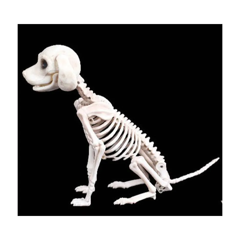 Festdekoration halloween skelett hund prop animal ben shop skräck skl props y201006 droppleverans hem trädgård festligt leveranser ev dhbsg