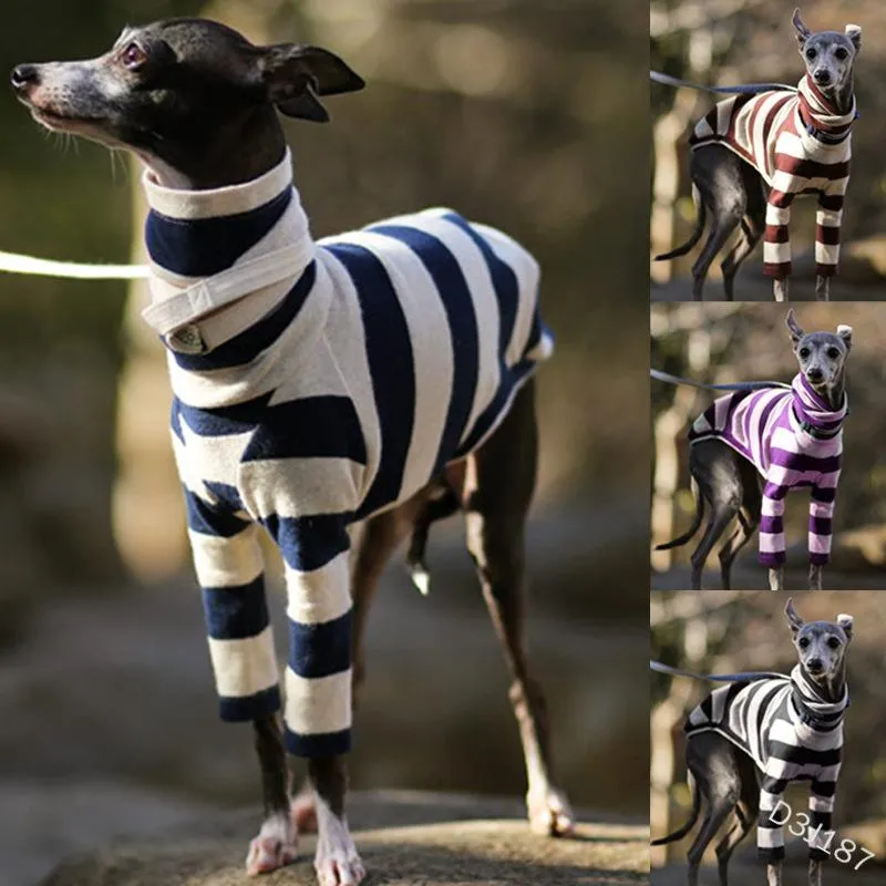 Abbigliamento Maglietta per cani Vestiti per animali domestici Comodo maglione per cani a collo alto a due zampe con cappuccio in pile polare