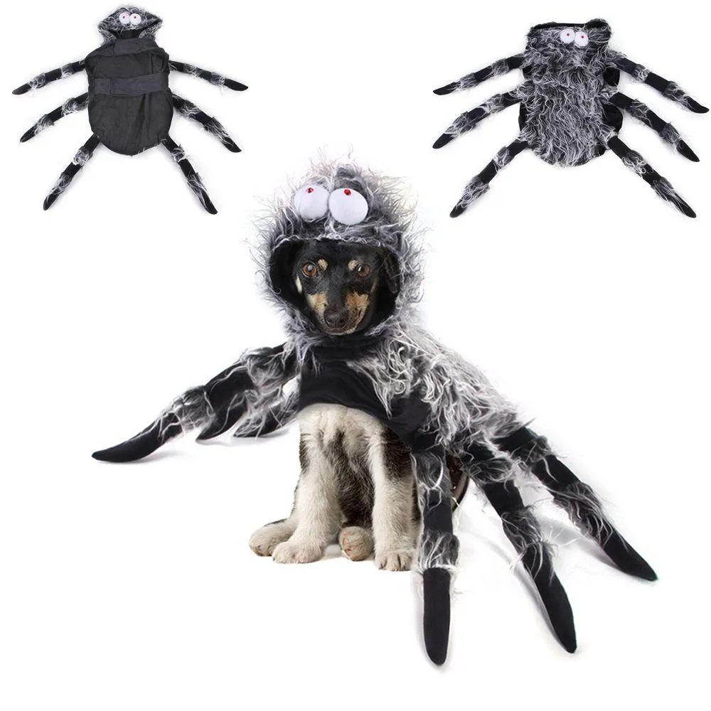 Vêtements nouveau Costume de fête tenue de Simulation vêtements de Cosplay vêtements d'araignée pour animaux de compagnie chat chien Halloween araignée noire