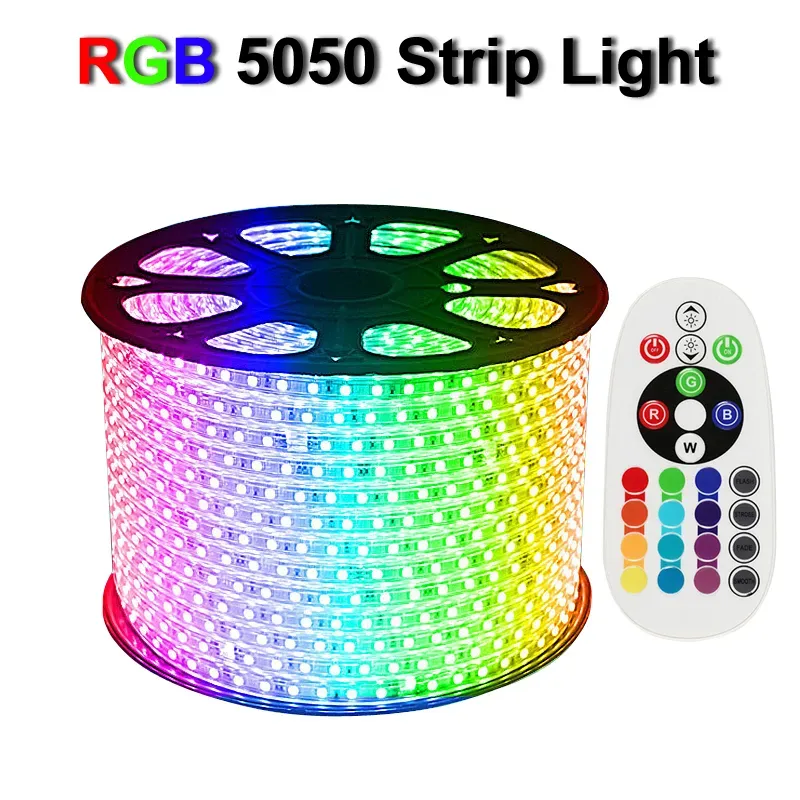 5050 RGB LED-Streifenlicht 110 V 220 V 60 LED M Wasserdichtes flexibles LED-RGB-Neonlicht-Netzteil IR-Fernbedienung Weihnachtsfeiertag