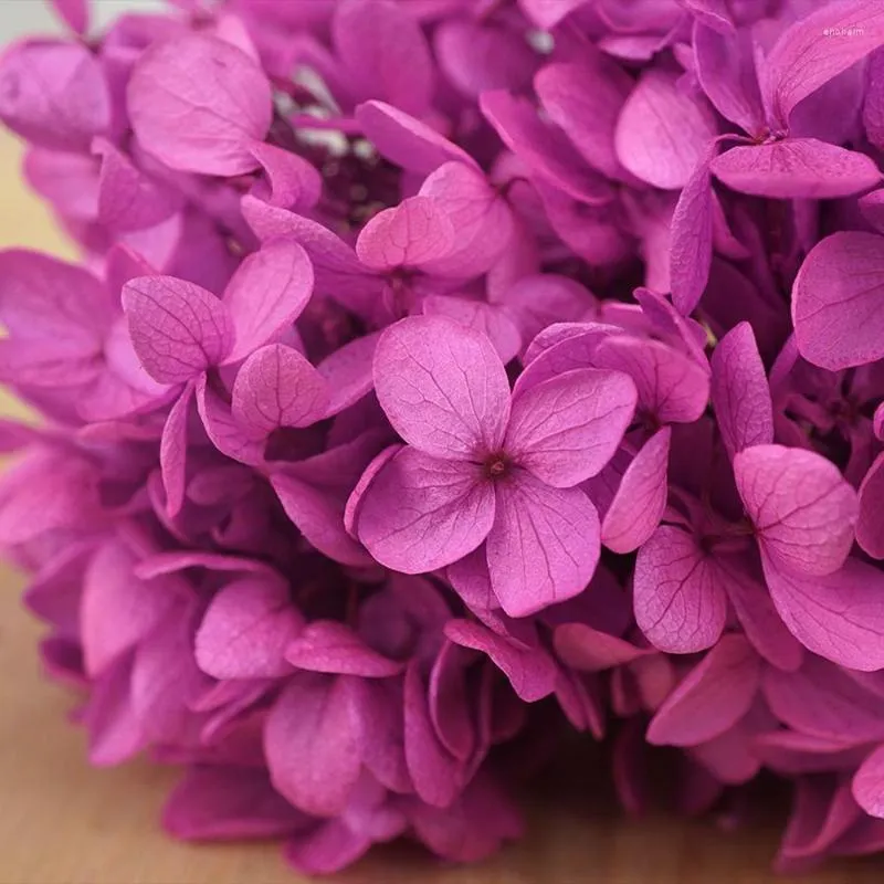 Fleurs décoratives 20g, hortensia en bois naturel préservé, frais éternel, décor de Festival de vacances, vraie fleur, matériel de bricolage