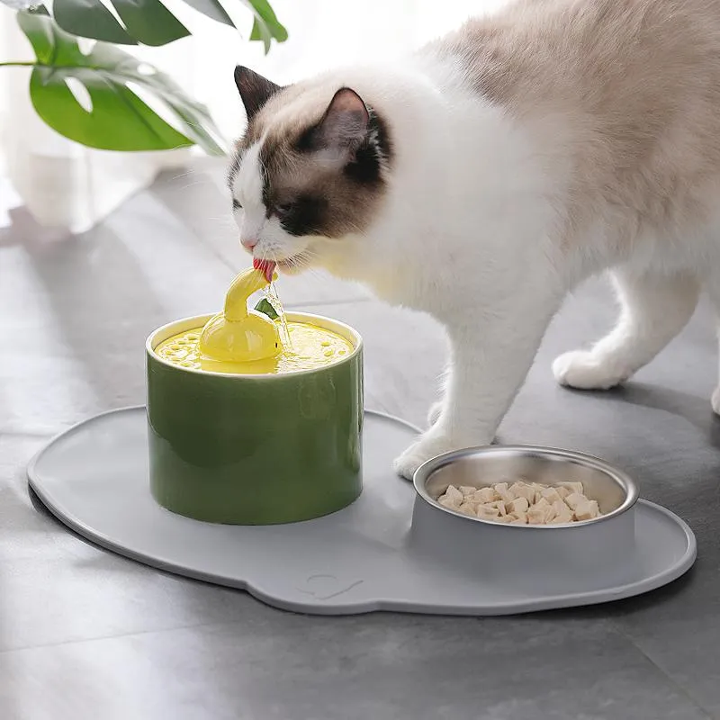 Forniture Distributore automatico di acqua per gatti in ceramica Fontana di acqua per animali domestici Creativo carino Filtrazione a 5 strati Dispenser per cani muti Alimentatore per bere