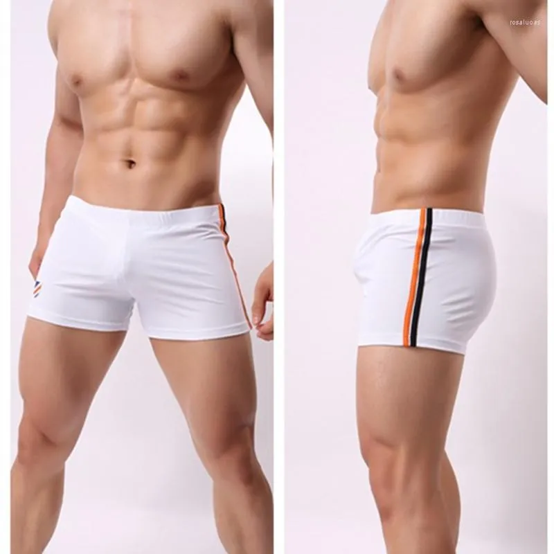 Underpants BRAVE PERSON Nylon Underwear Mans Boxer Trunks Calzoncillos Hombre Shorts Men Cueca Swimwear Boxers Marca