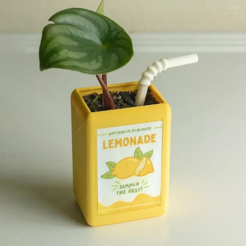Vasos resin suco box plantador de flores para plantas verdes internas encantador de desktop decoração cafe de escritório em casa